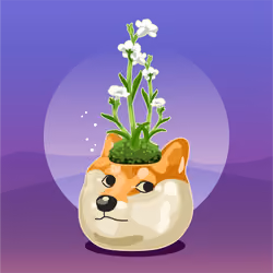 Yose-Ue DOGE #66