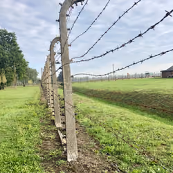 NeverForget Collection: Birkenau 002 (Original 1 of 1) 