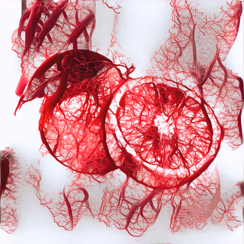 Item #71856514976474579381482599745109413688155812257082282086702350867398721011713 Media