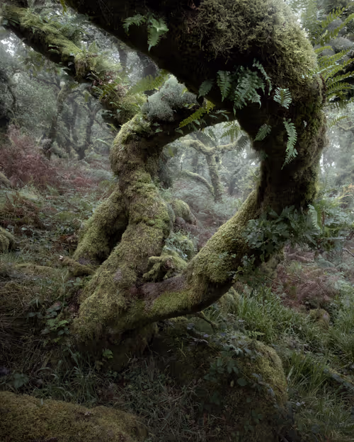 Item #72639390708267126639436568569652760193401123475841185469851730216971352932353 Media