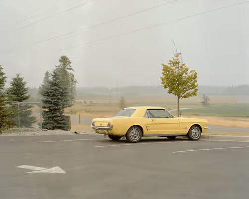 Item #84024337187978620715230419621117726226038651953477556812325436858931257278465 Media