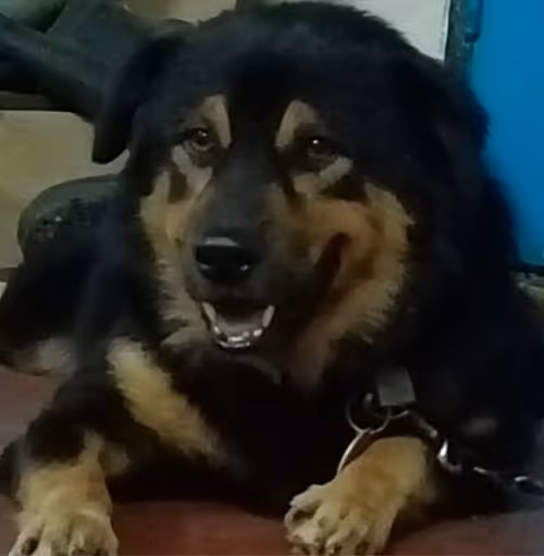 Item #56055091060271351536523847984853154360378800009370414984463609022886285672449 Media