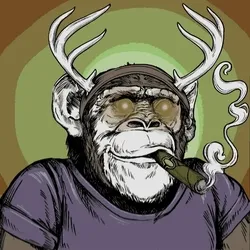 Primate #1