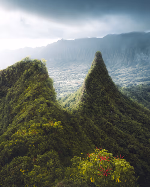 Item #59404681870809906448390957325299961742928436828892721220786848689054940135425 Media