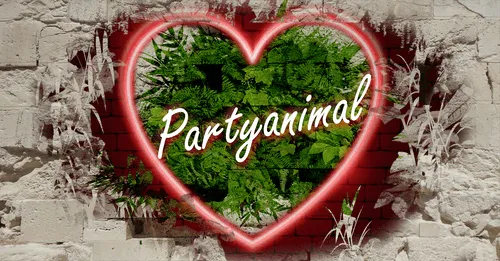 Item #68053287575525751288269231675427811746861684968250582901590729423208346288129 Media