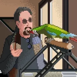 The Pirate Parrot Serenade McAfee