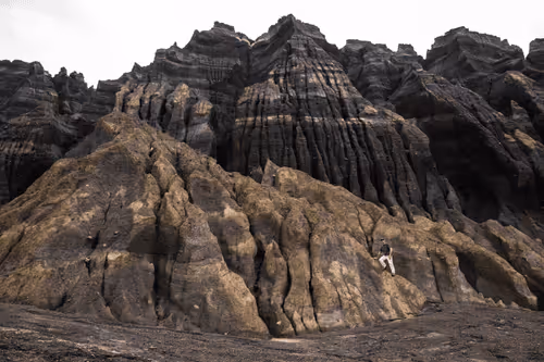 Item #27747756409084056157885059957220218657806403906811327851959916543120848715777 Media