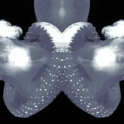 Cnidaria #15