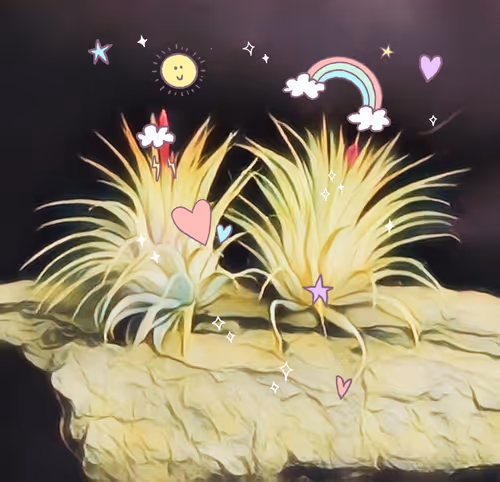 Item #8607677958191038044004830040679912821884152676576415147527513015669693087745 Media