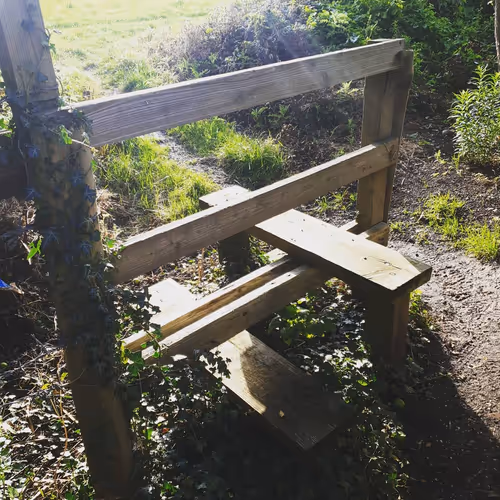 Item #105237010342582609876748436582366170093723610565651913513256945296278984589313 Media