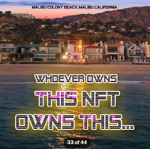 Item #45088590917630179738363050390991144714197488359678252485463479228863801720833 Media