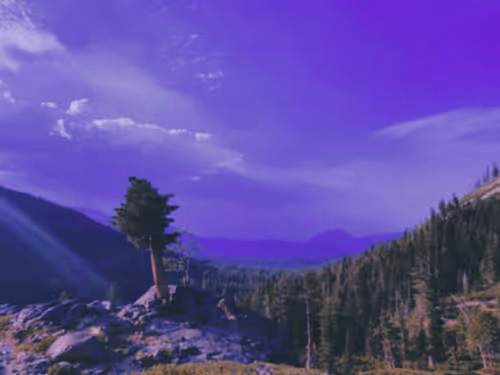 Item #27434377377013038178664737441891876800279773627045091571206927187979190403073 Media