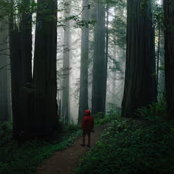 The Ancient Trees: 013