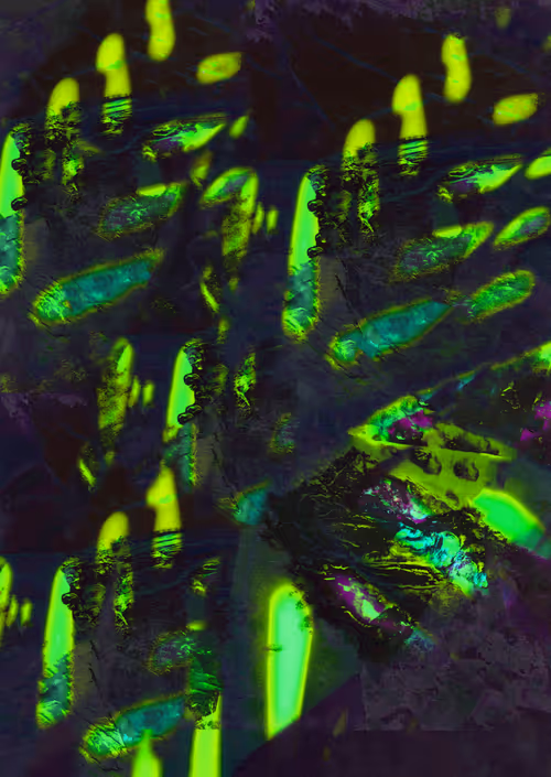 Item #74321580699693805405400531737243136428970360100331586117131674751315476480001 Media