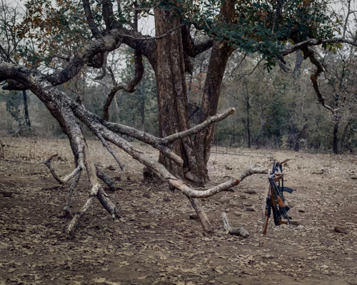 Item #80141737210111839928667523403933295145384279437019335330195524795071851397121 Media