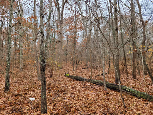 Item #34085441569699423005310991372941828806155687762378495952169943192278266806273 Media