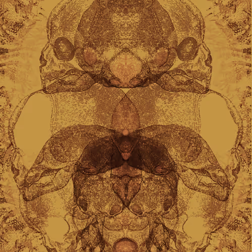 Biological Revelation 2
