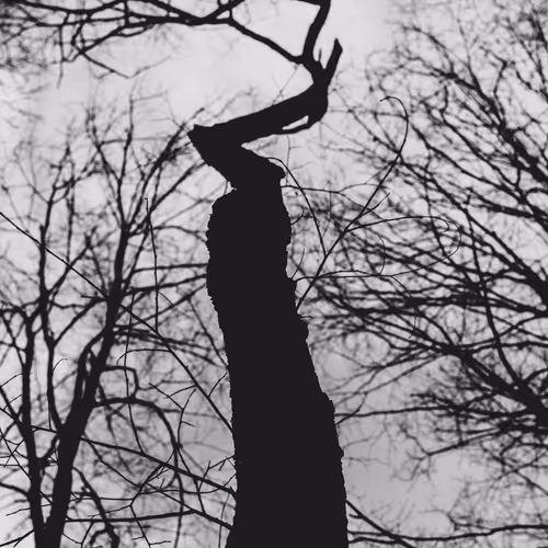 Trees Vol 1