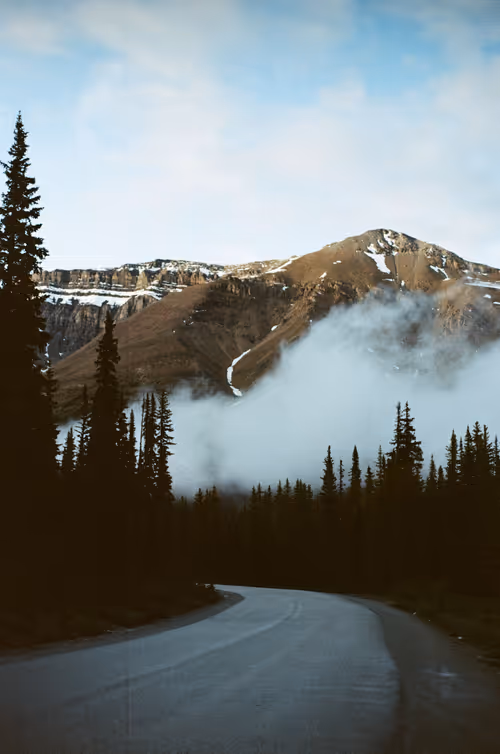 Item #47263427192164652085491385206447928327425179185590361106857945443495005126657 Media