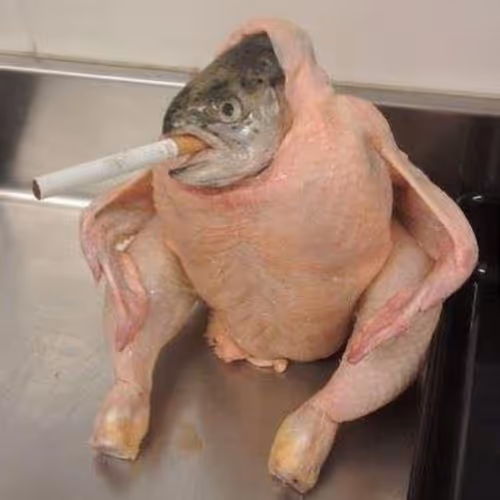 Jon4s Collection - old