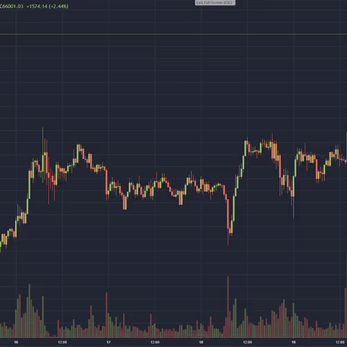 Crypto_Wombat Collection