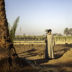 Early Bedouin Riser