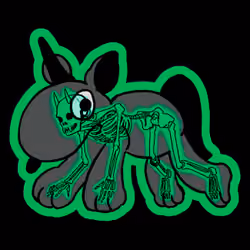  Transparent H.Dr