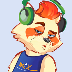 Raccoon-031