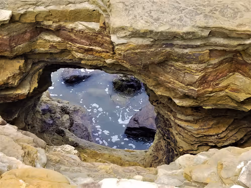 Item #36797478990227503802515544271343238965940869473164843468653790171156625489921 Media