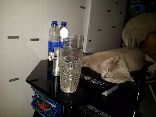 Item #100516814323253883263988332021777234412413008182040401393658401385593329156097 Media