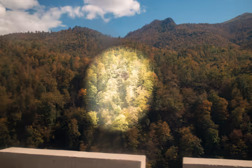 Item #8293050977498067439738640211663030445621008093446820664285480989917458726913 Media