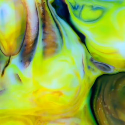 24074810528421772514233601070827590066402087809941770395158209019801398935553