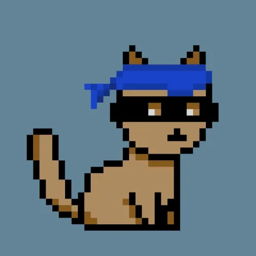 PunkCat #5878
