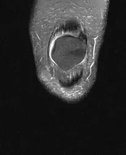 Item #11780915356901891937150191052604117223978980698243640119023280889367611047937 Media