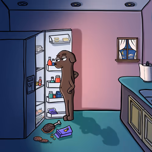 91190804524178088973828423436075625714456414569628303431916150058101302624257