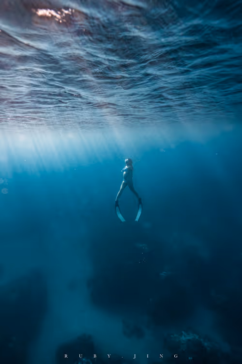 Item #75775185799272849085271004632709043340311400921657001030137476907250279776257 Media