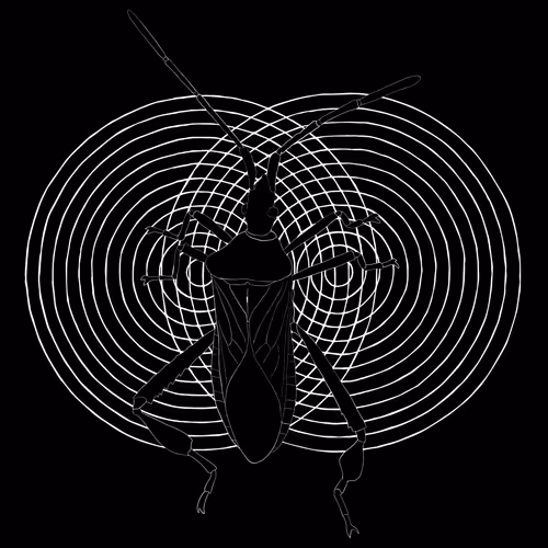 Item #18018250176649133944975211940619367290715552082181075534314545564405142126593 Media