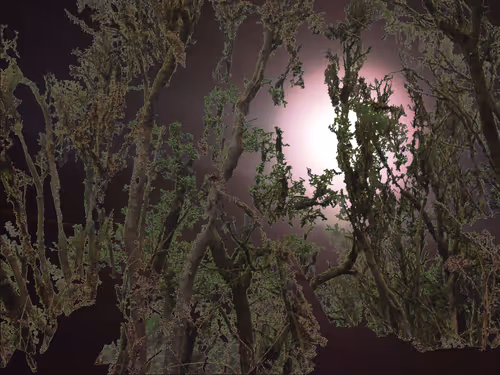 Item #9660583733469801473046997208294003880386431953096810754194996635121320198145 Media