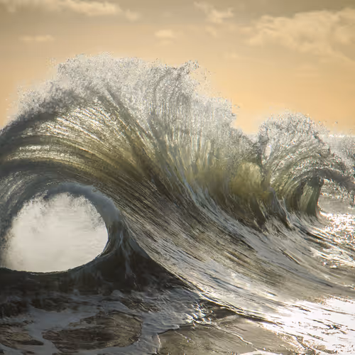 Tynezphoto Collection - old V4