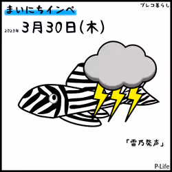 81664083123670143983968740139941474364733981378414170565535211144201065463809