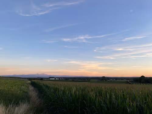 Item #82230664742410380029985225980173930657967222825059187272411913085253985501185 Media