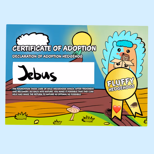 Item #82568299303928421953913761626182899451350454358972335949111842599397593448449 Media