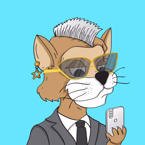 Thecrazycatclubs