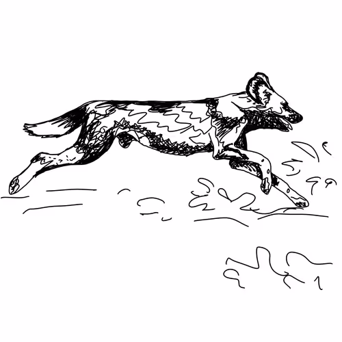 Item #2193413964396688017519545014039079487977398058992088711471590562027058233345 Media