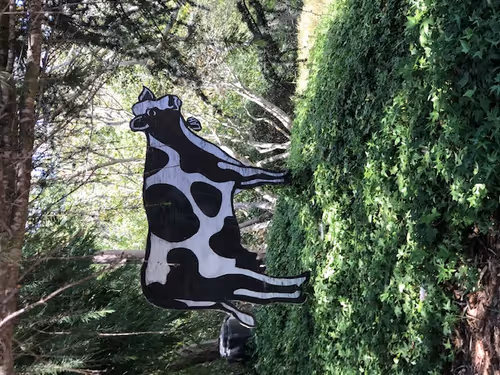 Item #112683523889395001065682573089777229739151470311276186156132405745737300705281 Media