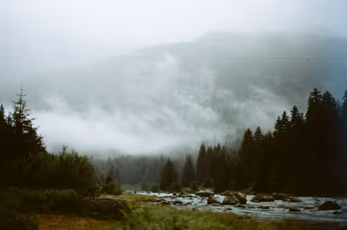 Item #47263427192164652085491385206447928327425179185590361106857945447893051637761 Media