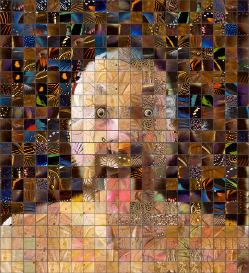 Item #100782382994010076709340746135078046665571561867051036640486280969502213537793 Media