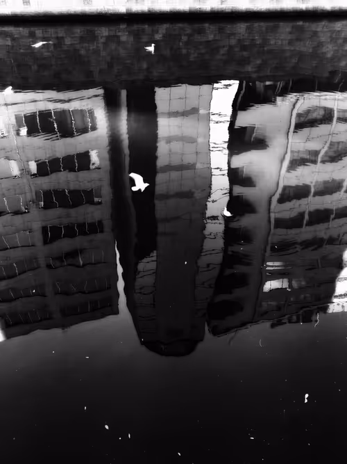 Item #27808391261739682212978994508134767813095033586491870534816189113016879415297 Media