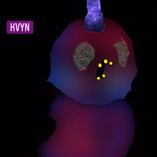KVYN