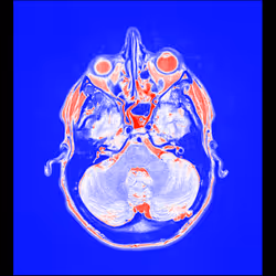 64162533542198579898252916190583583845604629893829087458582975984386529296385